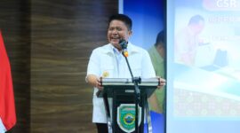 Gubernur Sumsel Herman Deru
