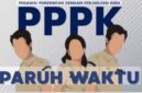fhoto : (istimewa/net) pegawai pemerintah dengan perjanjian kerja/pppk paruh waktu