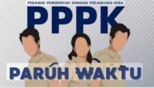 fhoto : (istimewa/net) pegawai pemerintah dengan perjanjian kerja/pppk paruh waktu