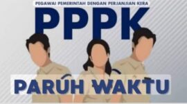fhoto : (istimewa/net) pegawai pemerintah dengan perjanjian kerja/pppk paruh waktu