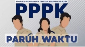 fhoto : (istimewa/net) pegawai pemerintah dengan perjanjian kerja/pppk paruh waktu