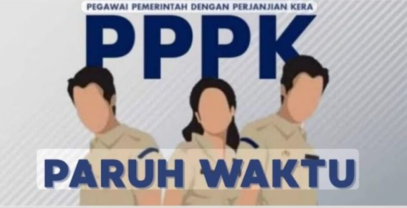 fhoto : (istimewa/net) pegawai pemerintah dengan perjanjian kerja/pppk paruh waktu