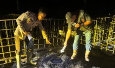 Polisi Berhasil Amankan Pemilik Lokasi Penyulingan Ilegal Yang Terbakar Di Desa Keban 1.