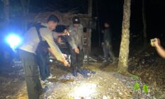 Pria 45 Tahun Diamankan Usai Petani Tewas di Lapak Sawit Aur Duri