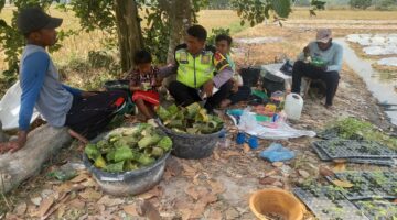Polsek Buay Madang Timur, Aipda Sahrul Munir dan Aipda Wisnu Saputra, duduk lesehan bersama para petani saat menggelar kegiatan silaturahmi dan sambang kamtibmas di Desa Tanjung Mulya, Kecamatan Buay Madang Timur, Kabupaten OKU Timur.