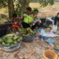 Polsek Buay Madang Timur, Aipda Sahrul Munir dan Aipda Wisnu Saputra, duduk lesehan bersama para petani saat menggelar kegiatan silaturahmi dan sambang kamtibmas di Desa Tanjung Mulya, Kecamatan Buay Madang Timur, Kabupaten OKU Timur.
