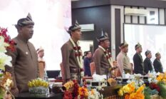HUT ke-81 OKI Digelar Sederhana, Pemerintah Fokus Tangani Karhutla