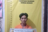 Pelaku MP