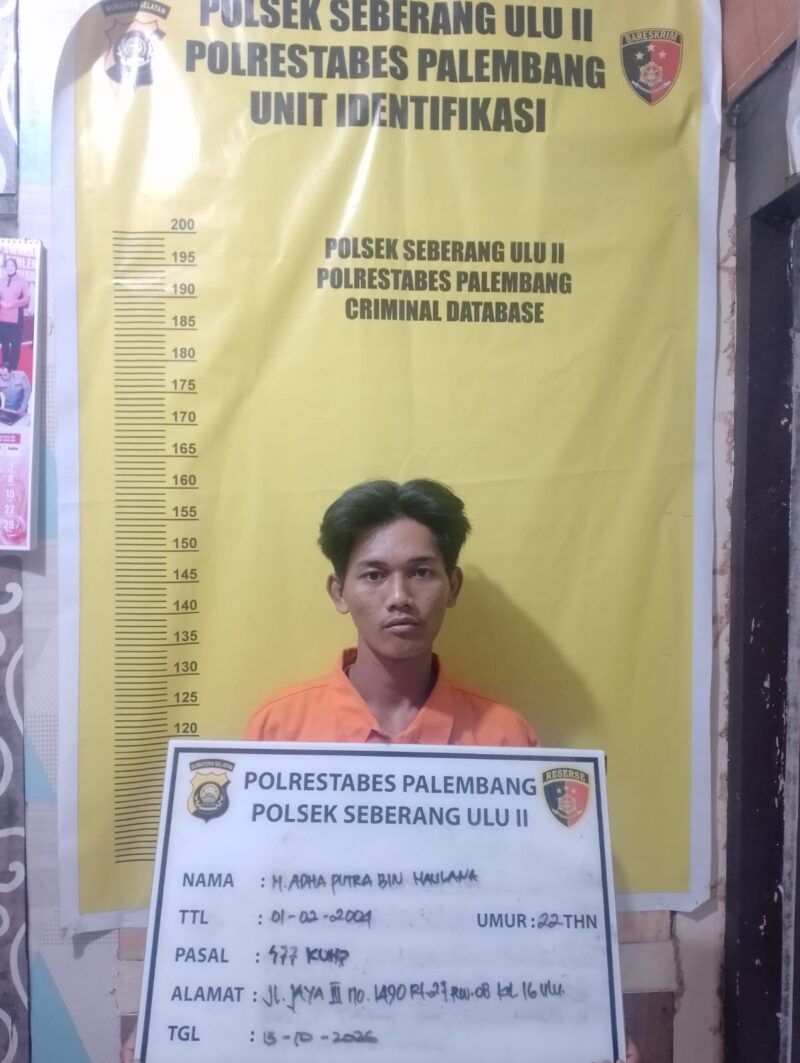 Pelaku MP
