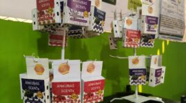 Caption Foto : Produk Ankubas Scents, Pengharum Ruangan dengan Berbagai Variasi Rasa Wewangian dengan Memanfaatkan Eceng Gondok, di Kecamatan Plaju, Palembang. Foto: Reza