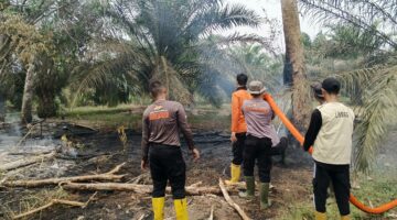 Tim Gabungan BKO Brimob dan Satgas Karhutlah Padamkan Kebakaran Lahan di Perbatasan Ngulak II dan Kelurahan Ngulak